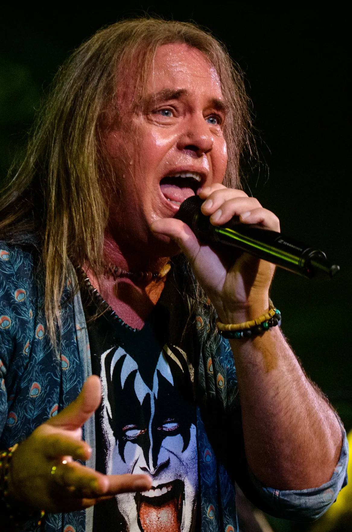 Photo de Andi Deris