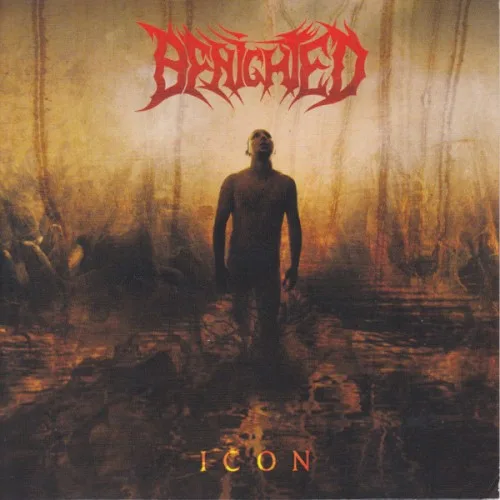 Pochette de Icon