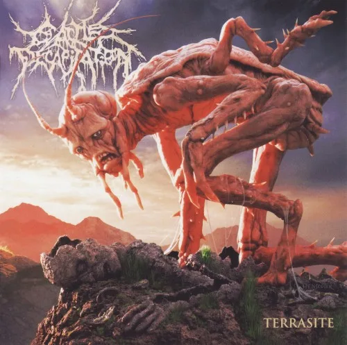 Pochette de Terrasite
