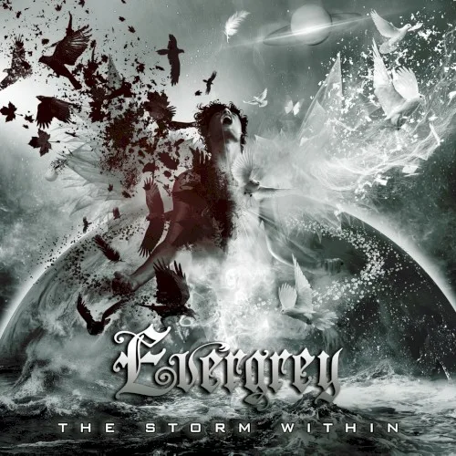Pochette de The Storm Within