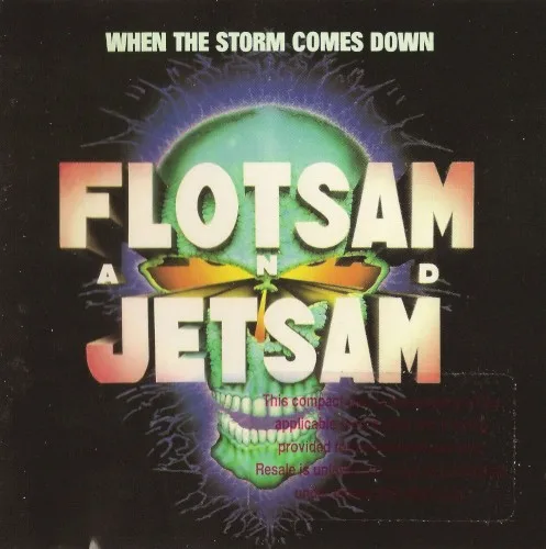 Pochette de When the Storm Comes Down