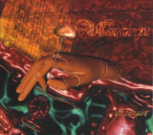 Pochette de Visionnaire