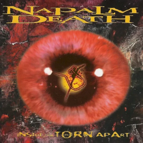 Pochette de Inside the Torn Apart