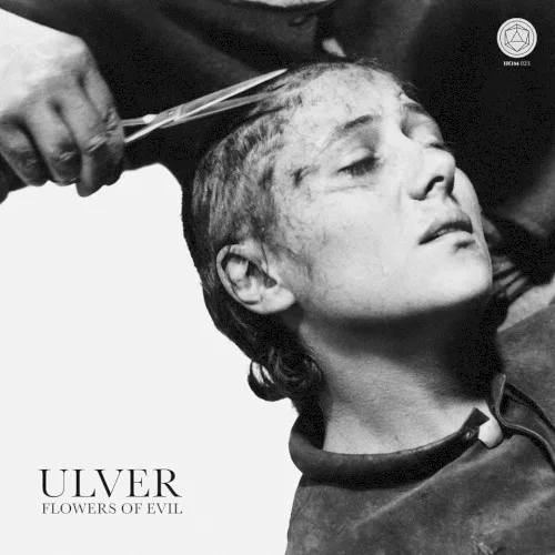 Pochette de Flowers of Evil